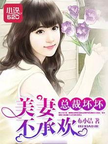 娱乐吃瓜酱妻子小说阅读,妻子背后的爱情故事